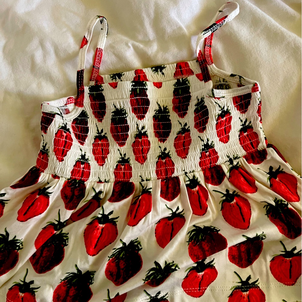 NWT Kate Quinn Strawberry Smocked Top and Matching Wide Rib Cotton Pants